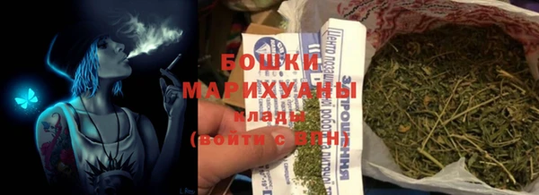 бошки Белокуриха