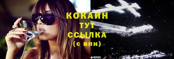 бошки Белокуриха