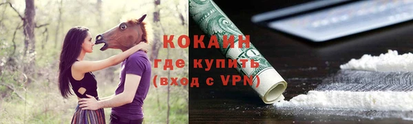 бошки Белокуриха