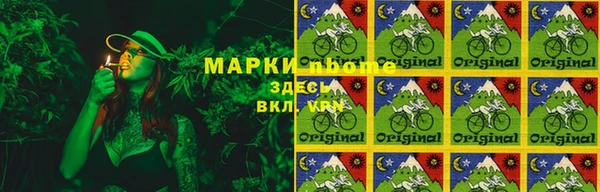 бошки Белокуриха