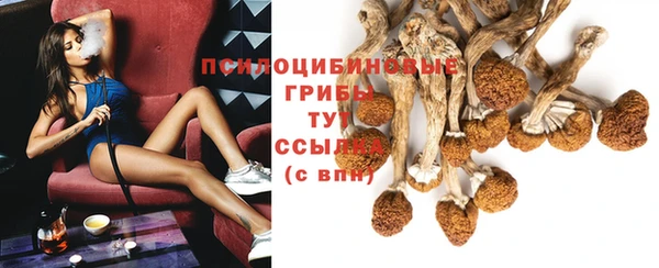 бошки Белокуриха