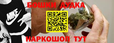 дживик Дубна