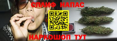 дживик Дубна