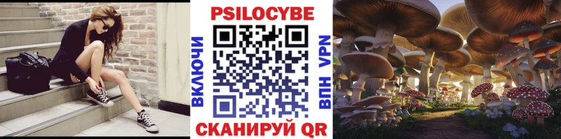 даркнет состав Обь Галлюциногенные грибы прущие грибы