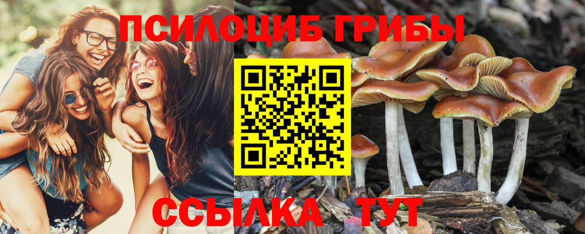 Псилоцибиновые грибы MAGIC MUSHROOMS  Вход с VPN  Обь 