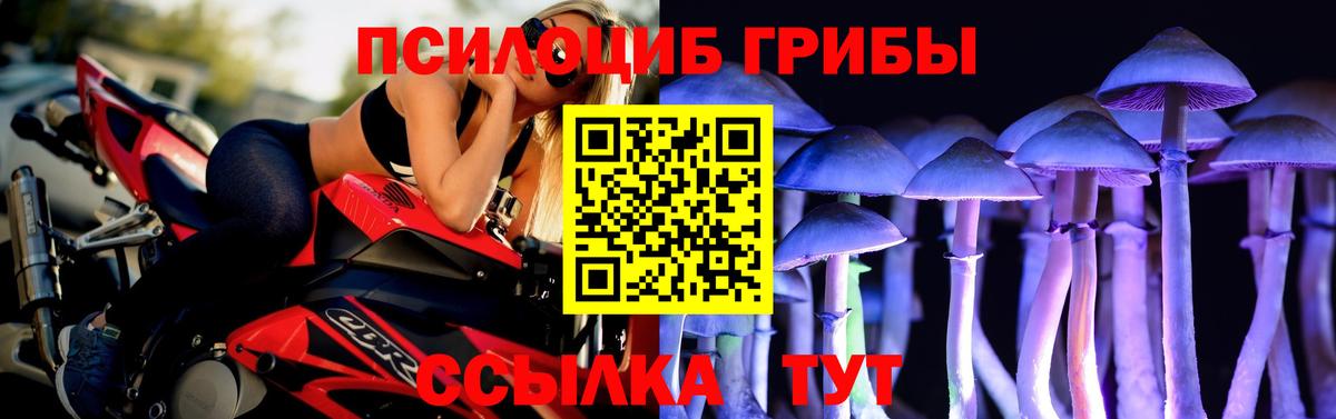 Псилоцибиновые грибы GOLDEN TEACHER Обь